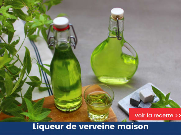 Comment faire sa liqueur de verveine maison ?